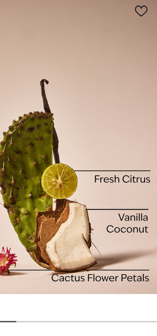 Cactus Blossom Body Lotion